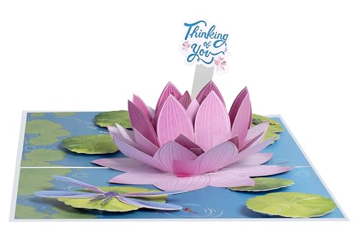 iGifts And Cards Pink Lotus Flower 3D Pop-Up Card – Serene Wishes 6"x8" | Thinking Of You, Get Well, Sympathy, Meditation Theme, Friend, Teacher, Nature Lover, Spiritual Seeker Keepsake, Notecard - color: Pink Lotus