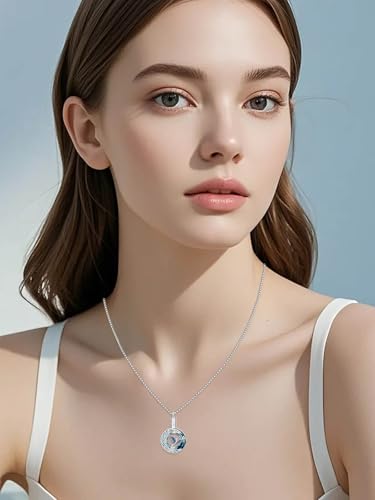 TOUPOP Phoenix Urn Necklace Cremation Jewelry for Ashes 925 Sterling Silver Crystal Phoenix Pendant with Funnel Filler Memorial Jewelry Gifts for Women - color: 02-Blue Phoenix