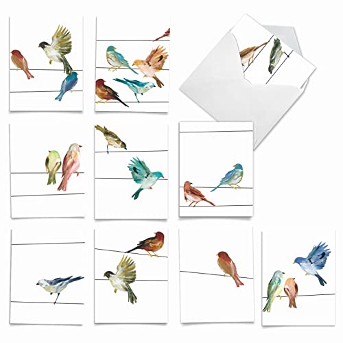 The Best Card Company - 10 Bird Note Cards Blank (4 x 5.12 Inch) - All Occasion Cards with Envelopes, Boxed Set - High Wire Birds M3318 - style: High Wire Birds