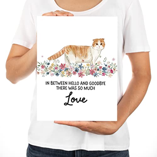 Andaz Press Jumbo Pet Sympathy Card with Envelope, Sorry For Your Loss, Scottish Fold Cat, Loss Of Pets, Cat Grief Bereavement Card with Big Blank Space to Send to Friends, Family, 8.5" x 11", 1-Pack - color: Scottish Fold Cat