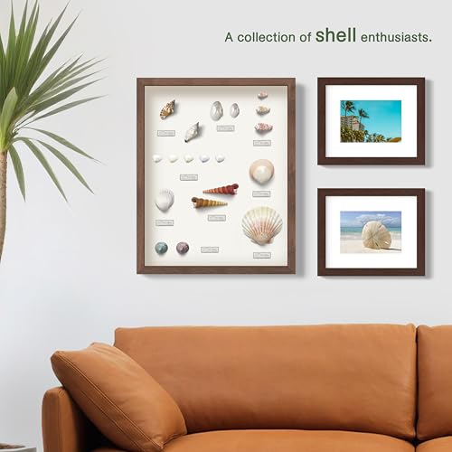FrameWorks Mahogany Wooden Shadow Box Frame - 8' x 8' Display Case with Soft Felt Back, Tempered Glass, Elegant White Ball Push Pins - color: Mahogany, size: 8"x8"
