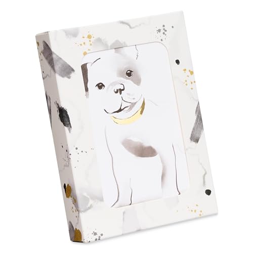 Papyrus Blank Cards with Envelopes, Frenchie (12 count) - color: Grey