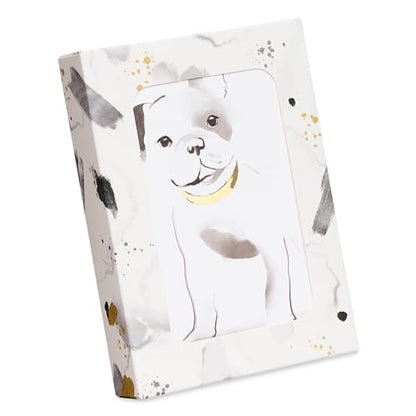 Papyrus Blank Cards with Envelopes, Frenchie (12 count) - color: Grey