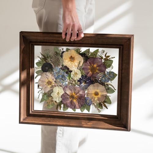 Double UV Glass Frames for Pressed Flowers Frame 11x14 Shadowbox Frames Black Walnut Wood Floating Frame 16x20 Artist Gallery Picture Frames For Wedding Flowers - color: Appalachian Black Walnut, size: 11x14/UV Crystal Glass