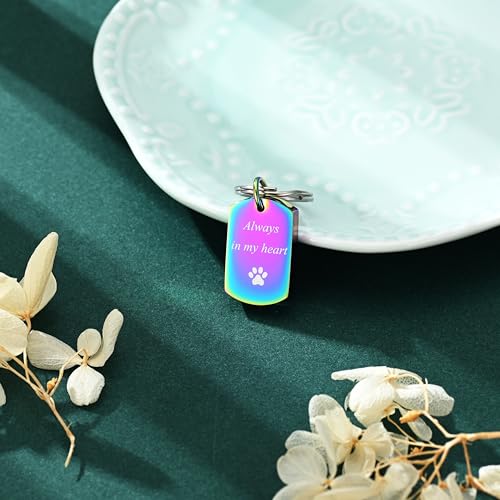 Pet Paw Cremation Jewelry Urn Keychain for Ashes for Women Men Memorial Keepsake Keychain - color: Rainbow