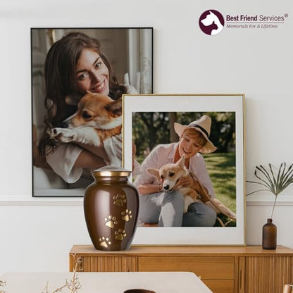 Ottillie Legacy Brown/Brass/Vert Urn, up to 65lbs - color: Harvest Brown, Vertical Brass Paws, size: Medium
