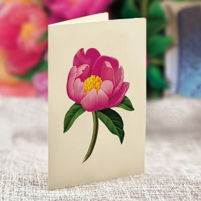 Freshcut Paper Peony Paradise 13 Inch Life-Sized 3D Pop Up Card – Birthday, Mothers Day, Thank You, Gifts for Mom and Her – Includes Notecard and Envelope (Pack of 3) - color: Peony Paradise, size: Classic (Pack of 3)