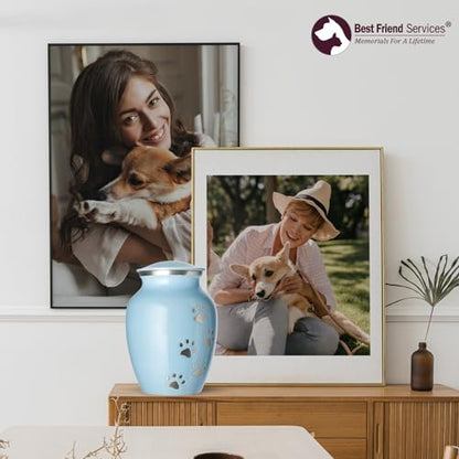 Ottillie Legacy Lt Blue/Pewter/Vert Urn, up to 25lbs - color: Baby Blue, Vertical Pewter Paws, size: Small