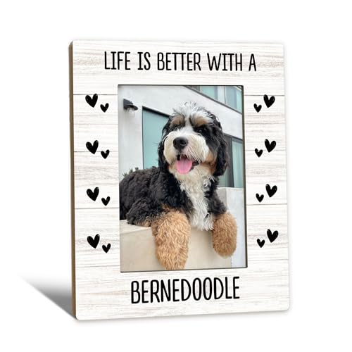 Gifts for Bernedoodle Lovers Owners Dog Picture Frame 5x7, BernedoodleGifts Photo Frame, Life is Better With A Bernedoodle Dog Wooden Picture Photo Frames for Desk Room Decor - color: bernedoodle