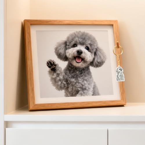 ELANE Dog Hair Keepsake，2 Pack Pet Hair Memorial Keepsake Pet Hair Keychain Keepsake (Clear Bichon) - color: Clear Bichon