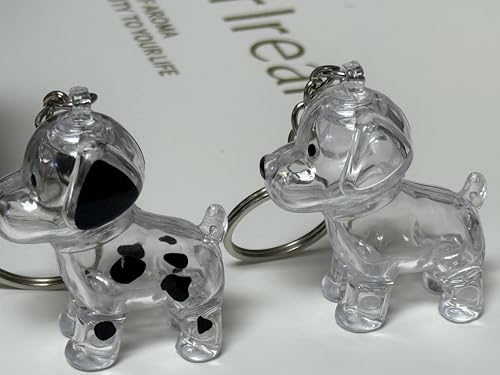 EPMANN 4Pcs Dog Hair Collector Keychain Charm Memorial Storage Box, Transparent Bottle for Pet Hairs Keychain - style: B