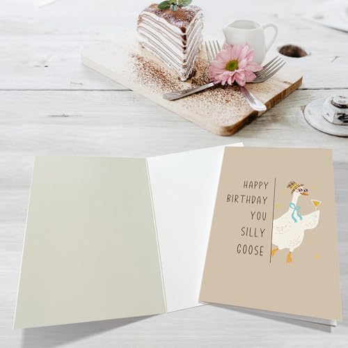 Obbyidk Funny Silly Goose Birthday Card for Him Her, Cute Goose Birthday Card for Son Daughter, Happy Bday Cards Gifts for Friend Family - color: Goose Birthday