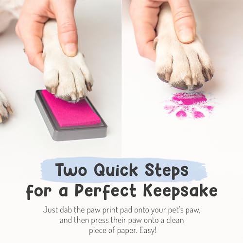 Pet Paw Print Impression Kit | Dog Ink Paw Print Kit | Pet Paw Print Kit | an Easy to Use Paw Print Stamp Pad for Dogs | Contains an Ink Pad for Dog Paw Prints That You Can Treasure (Small Black) - color: Small Black