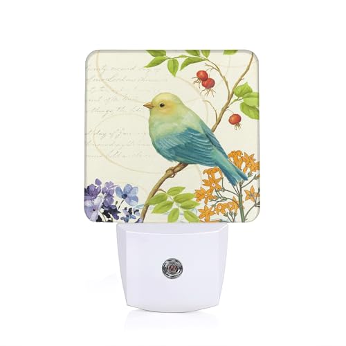 Bird Flower Night Light, Vintage Watercolor Bird Flower Night Lights Plug Into Wall with Dusk To Dawn Sensor Wall Lamp, Nightlights For Bedroom, Bathroom, Hallway, Kitchen, Gifts Ideal For Girls Women - color: Vintage Watercolor Bird Flower