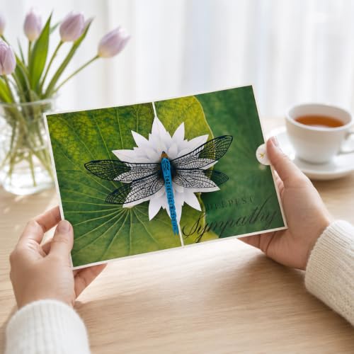 Pop Up Sympathy Card, 3D Dragonfly Waterlily, Sorry for Your Loss Card | Beautiful PopUp Sympathy Cards for Loss of Loved One, Mother, Father, Mom, Dad, Child, Sister, Condolence Card w Envelope - color: AFL DRAGONFLY SYMPATHY