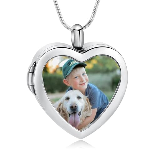 zeqingjw Glass Cremation Jewelry - Round Heart Memorial Urn Necklace for Ashes of Loved One - Stainless Steel Human Pet Dog Cat Keepsake Urn Pendant - color: A-Silver
