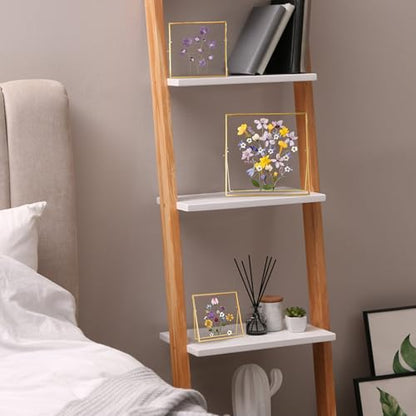REDHUGO Double Glass Frame for Pressed Flowers, Square, Gold, 4x4 Inches - color: Gold, size: 4L" x 4W"
