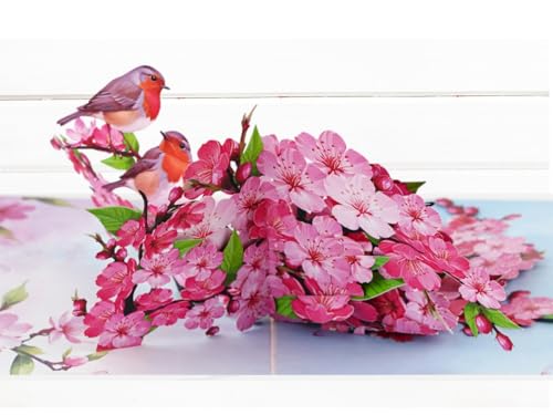 iGifts And Cards Cherry Blossom 3D Pop-Up Card – In Full Bloom 6"x8" | Robins, Pink Flowers, Nature-Inspired Greeting, Mother, Friend, Daughter, Spring Keepsake, Thinking of You Memento, Notecard - color: Cherry Blossom Robins