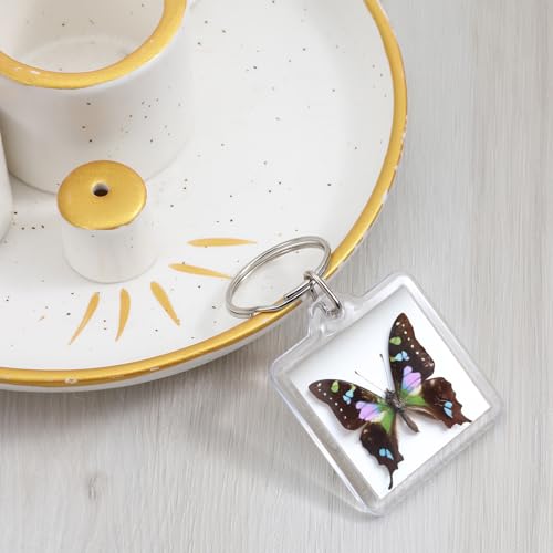 10PCS Acrylic Photo Keychain Blanks,Clear Blank Keychains Picture Frame Keychain Holder DIY Set for Bags Car Purses