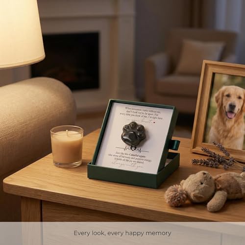 Natural Indian Agate Pet Memorial Gift Set with Paw Print Stone & Bracelet - color: Indian Agate Memorial Gift Set