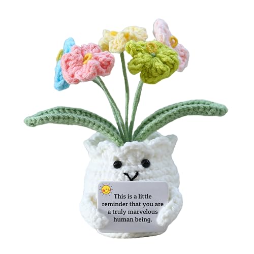 Forget-Me-Not Positive Crochet Flowers Plants Gift Handmade Desk Decor with Card “This is a Little Reminder” Appreciation Inspirational Gift for Coworkers Women Employee Teacher Best Friend Mom - color: E-this is a Little Reminder”