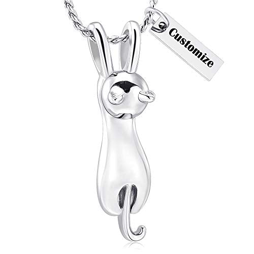 Imrsanl Pet Cremation Jewelry for Ashes Cat Urn Necklace - color: Customize