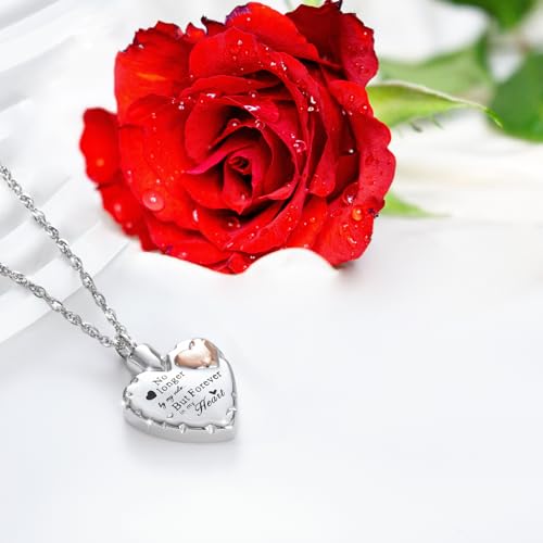 Decor Urns Heart Urn Necklace Ashes Cremation Jewelry for Women Men Keepsake Pendant Memorial Ash Locket Holder - style: 1pcs ashes necklace