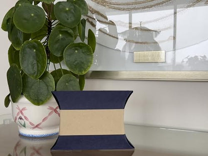 Biodegradable & Water Soluble Pillow Urn for Human + Pet Ashes | Eco-Friendly Memorial (40 Cubic inches) - Navy Blue & Beige