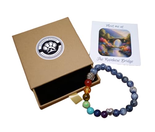 Pet Memorial Gifts for Loss of Dog Cat, Rainbow Bridge Bracelet for Sympathy or Remembrance