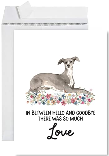 Andaz Press Jumbo Pet Sympathy Card with Envelope, Sorry For Your Loss Card, Italian Greyhound, Pet Loss, Dog Grief Bereavement Card with Big Blank Space to Send to Friends, Family, 8.5" x 11", 1-Pack - color: Italian Greyhound