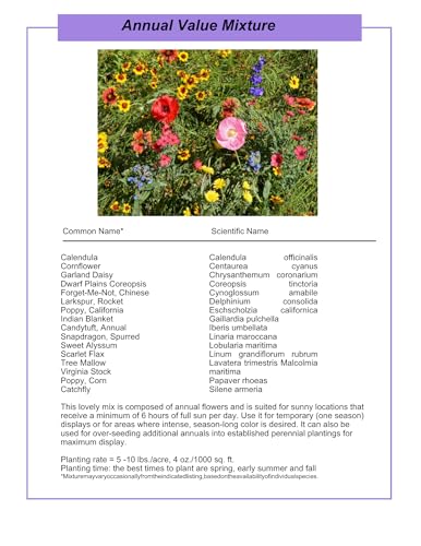 Wildflower Seed Shaker – Awesome Annual Mix by GevaGrow - 2 Ounce Shaker - size: 2oz Shaker, style: Annual Wildflower Mix