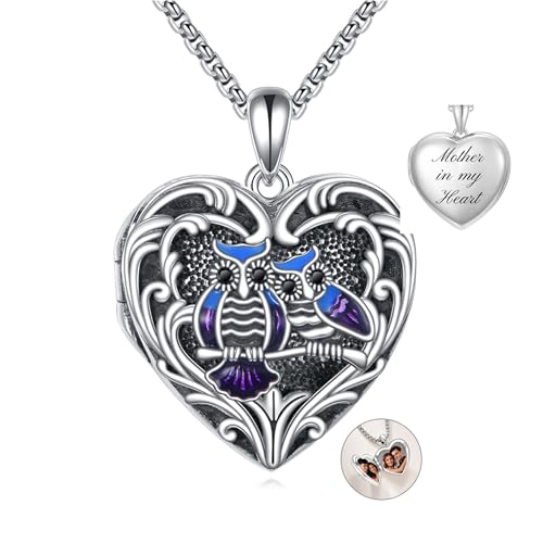 Personalized Heart Locket Necklace 925 Sterling Silver That Holds Pictures Photo Keep Someone Near to You Custom Lockets Necklaces Letters Engraving for His Her - style: Owl locket only