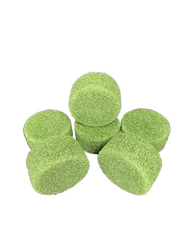 Green Foam Disc 3 1/2 Inches X 2 Inches for Floral Decor for vases, Cemetery cans, etc. (6)