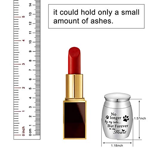 XIUDA 1.57 inches Mini Pet Memorial Small Urns for Dog and Cat Ashes, Stainless Steel Cremation Urn, Pet Paw Print Keepsake Urn for Ashes - color: S Silver-engraving