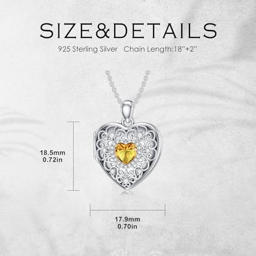 Heart Locket Necklace 925 Sterling Silver Personalized Picture Locket Pendant Birthday Christmas Jewelry Memorial Gifts for Women - color: November Crystal Locket