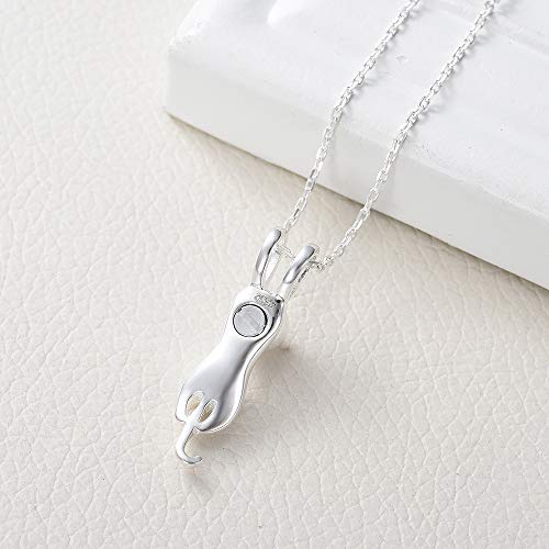 Imrsanl Pet Cremation Jewelry for Ashes Cat Urn Necklace - color: Sterling silver