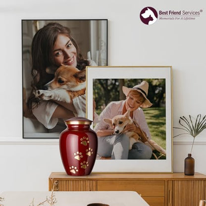 Ottillie Legacy Crimson/Brass/Vert Urn, up to 25lbs - color: Crimson, Vertical Brass Paws, size: Small