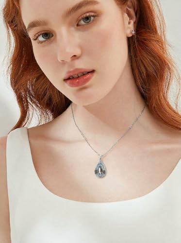WINNICACA Urn Necklaces for Ashes 925 Sterling Silver Butterfly Hummingbird Dragonfly Teardrop Ash Necklace Cremation Jewelry Urn Pendants for Women Memorial Gifts for Birthday Christmas Funeral - style: 15-Penguin Urn Necklace