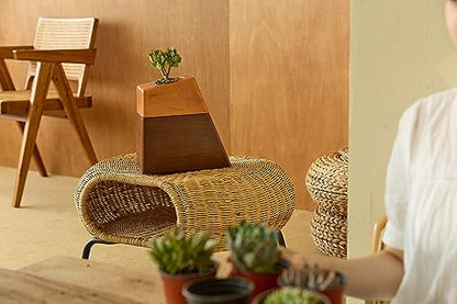 AspenStudio Plant Urn for Adult Human Ashes Cremation Wooden Urn by Aspen Studio