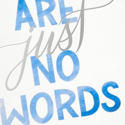 Hallmark Bulk Blank Sympathy Cards with Envelopes, 20-Pack (Just No Words) - color: White, Blue