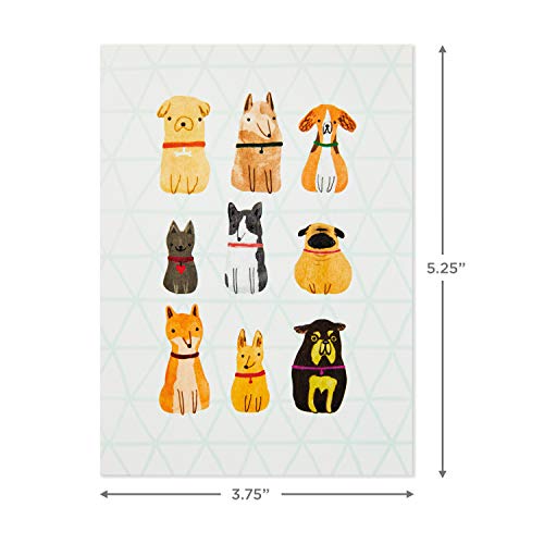 Hallmark Blank Cards Assortment, Dogs and Cats (36 Assorted Note Cards with Envelopes) - style: Dogs & Cats