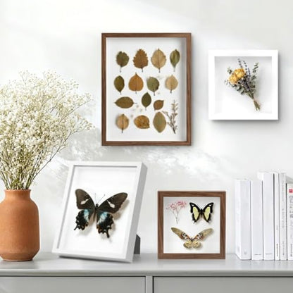 6 Pcs Shadow Box Frame 8x10 - 1.2" Deep Frame Display Case Walnut - color: 6 Pcs/Walnut, size: 8"x10"