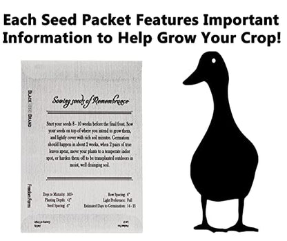 Set of 25 Forget-Me-Not Memorial Seed Packets – Individually Sealed – Non-GMO & Heirloom – Beautiful Tribute to Honor Loved Ones