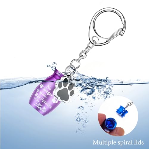 8Pcs Pet Ashes Keepsake Keychain for Dog Pet Ashes Urn Keychain Memorial Cylinder Cat Cremation Jewelry Paw Print Urn Necklace for Ashes (Silver) - color: Silver