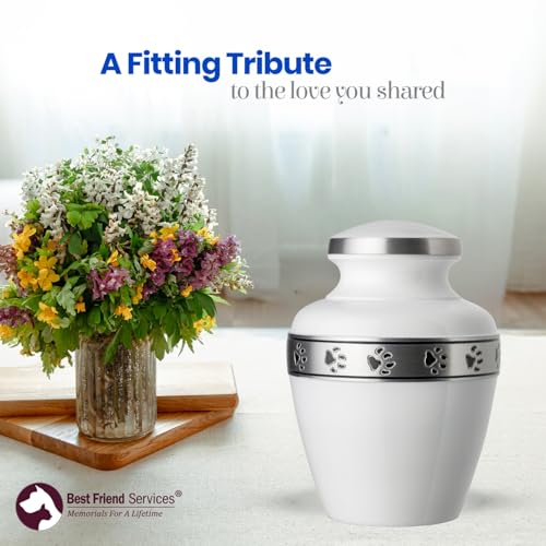Morgan Legacy Cloud White/Pewter Pet Urn, up to 25lbs - color: Cloud White, Pewter Band, size: Small