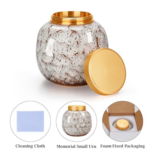 Dletay Small Urns for Human Ashes Keepsake Ceramic Mini Cremation Urns for Human Ashes Memorial Small Urn for Ashes Funeral Keepsake White Urn