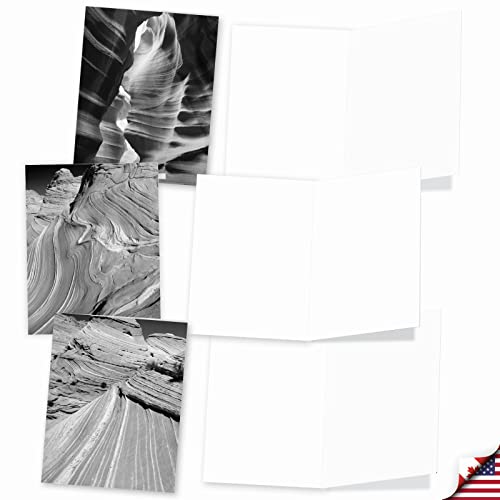 The Best Card Company - 10 Blank Note Cards with Envelopes (4 x 5.12 Inch) - Black & White Photos, Bulk Boxed Set - Free Forms M3310 - style: Free Forms