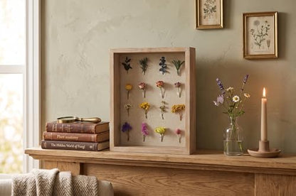 11 x 14 inch Shadow Box, Picture Frame Case with Linen Background, Displays Memorabilia Awards Medals Photos Memory, Shatter-Resistant Glass, Solid Wood in Rustic Farmhouse Grey