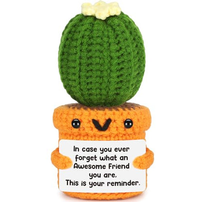 Agantree art Birthday Friend Gifts for Women Best Friend Birthday Long Distance Graduation Friendship Gifts for Woman Her, Sister, Besties, Crochet Cactus Desk Decor Christmas - style: Friend