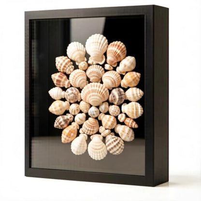 8.5x11 Magnetic Front-Open Shadow Box Frame with Real Glass, Memory Display Case for Dried Flowers, Keepsakes, Photos, Certificates, Wall or Tabletop Decor, Black